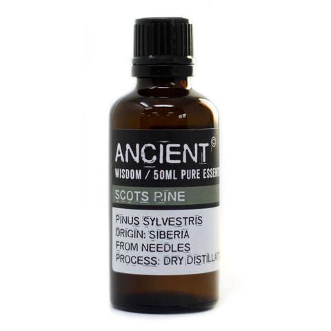 Scots Pine Essential Oil (Pinus sylvestris) – 50ml | Purifying, Respiratory Support & Muscle Relief