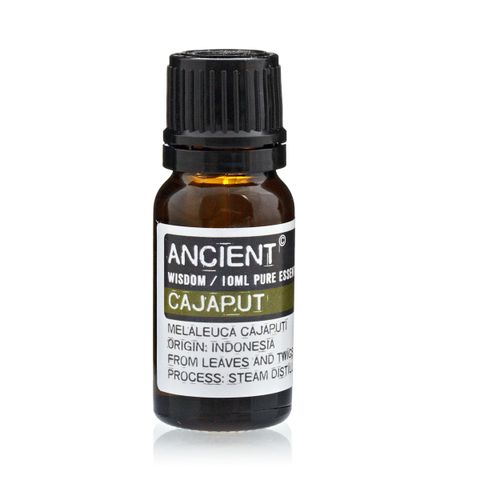 Cajeput Essential Oil (Melaleuca cajuputi) – 10ml | Respiratory, Muscular & Clarifying Support