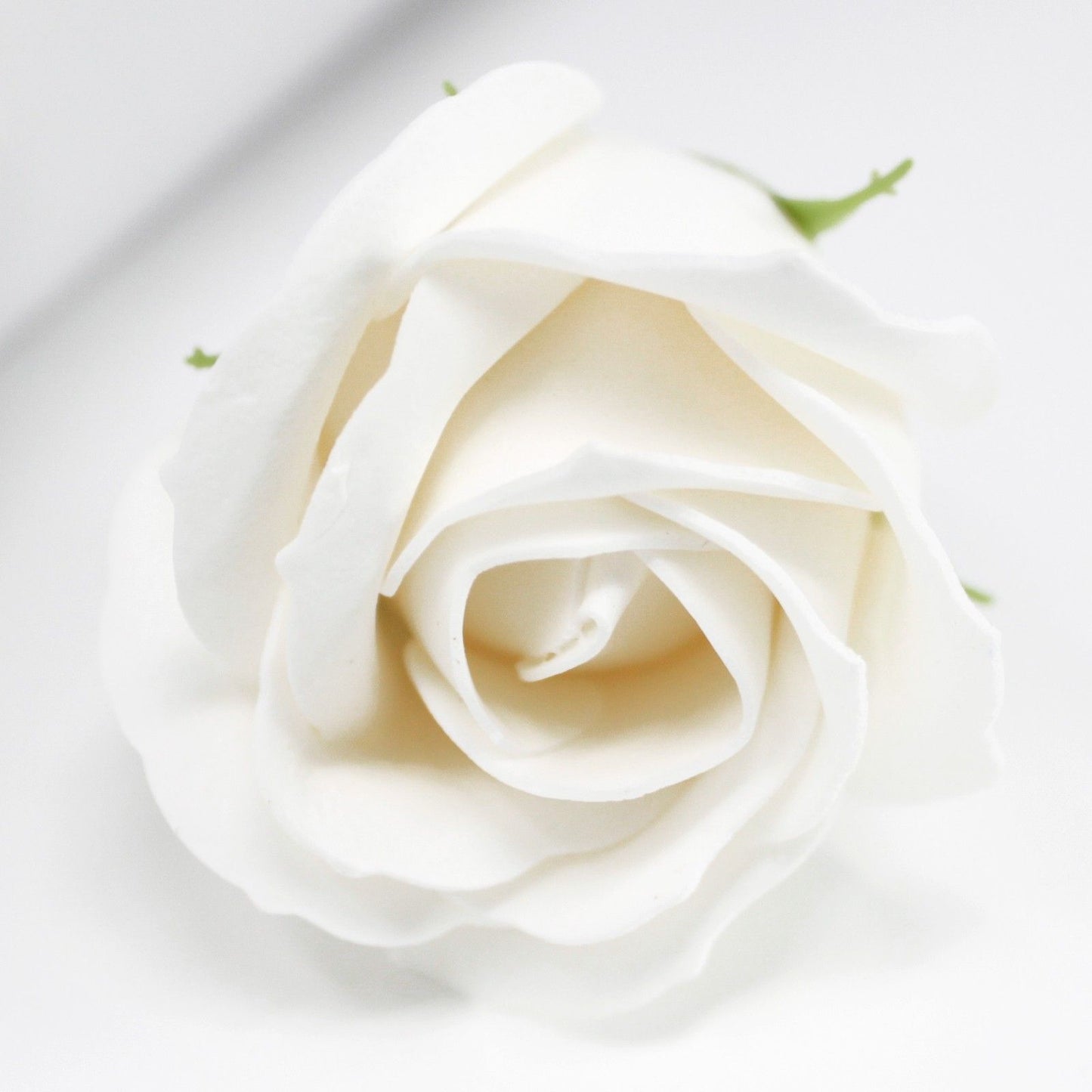 Craft Soap Flowers – Medium White Roses | Pack of 10