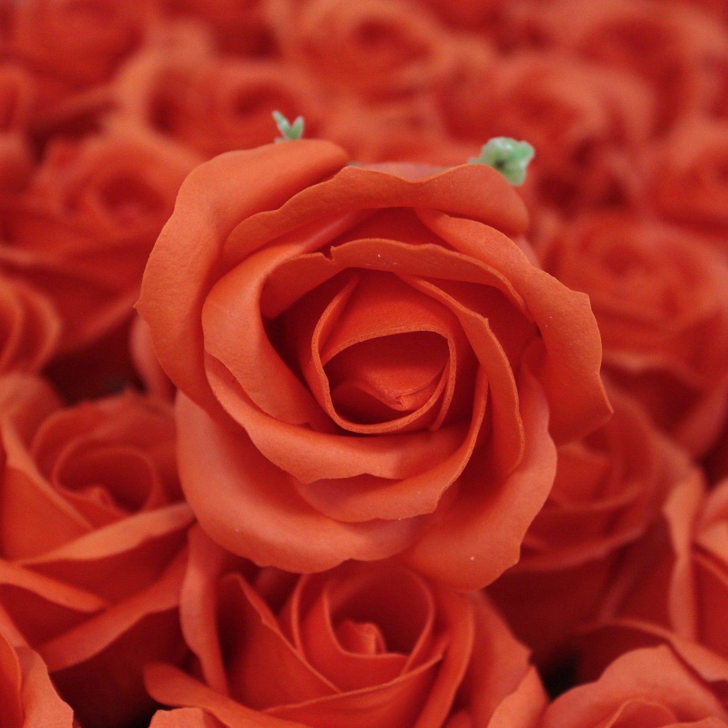 Craft Soap Flowers – Medium Sunset Orange Roses | Pack of 10