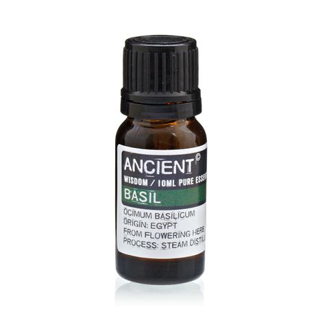 Basil Essential Oil (Ocimum basilicum) – 10ml | Uplifting, Antispasmodic & Respiratory Support