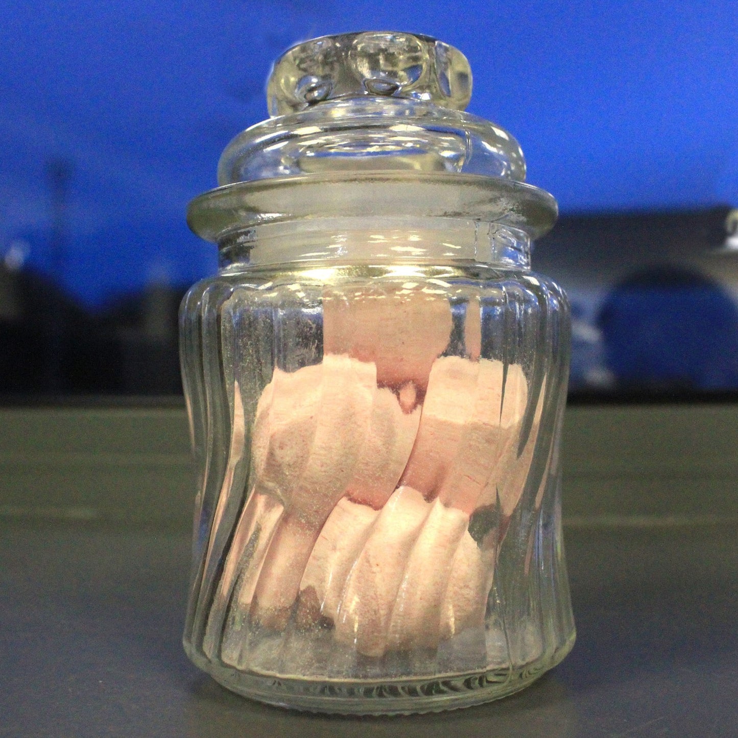 Swirl Ribbed Glass Jar with Glass Lid – Small | Complete All-Glass Look