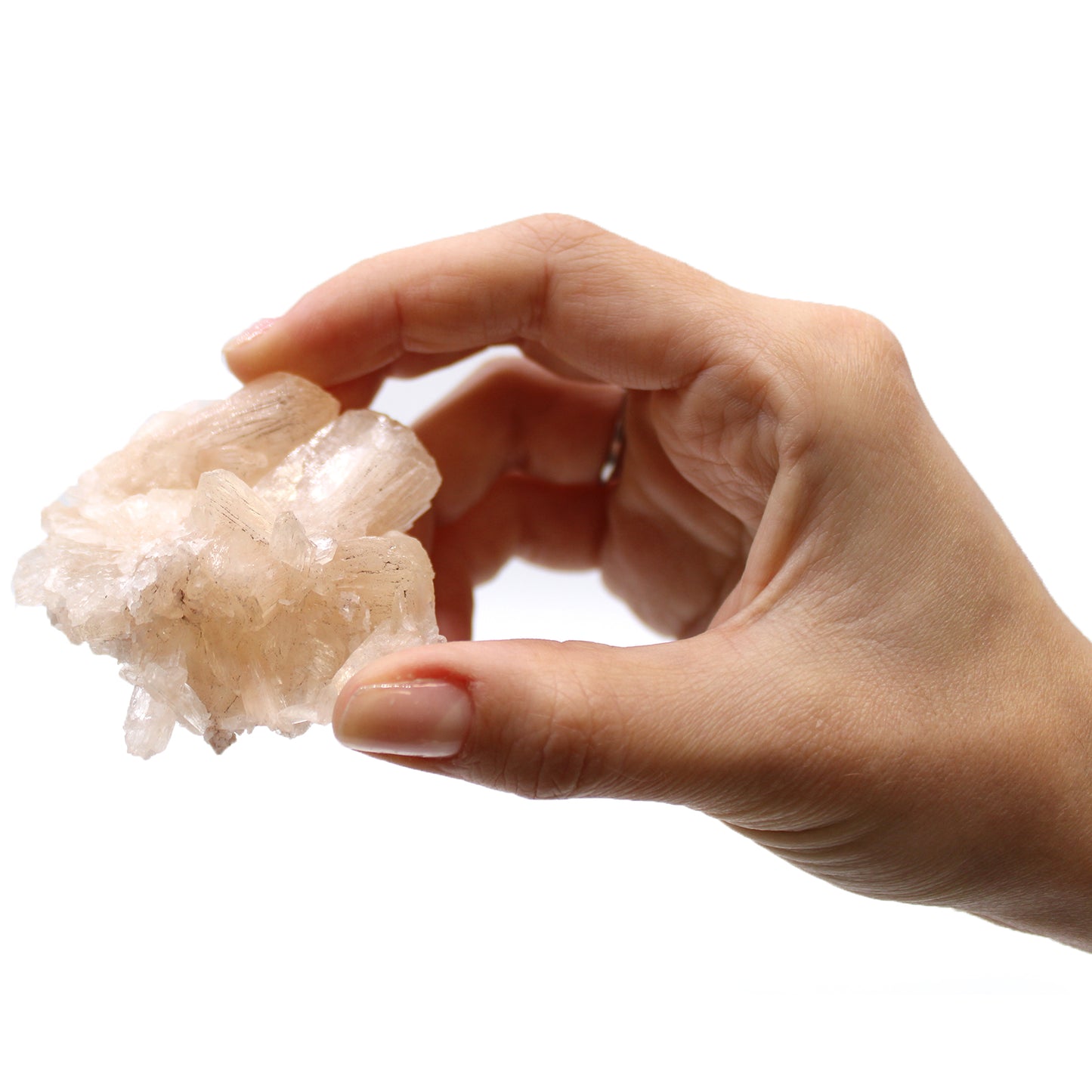 Stilbite with Apophyllite – 20–30mm | Natural Crystal Specimens