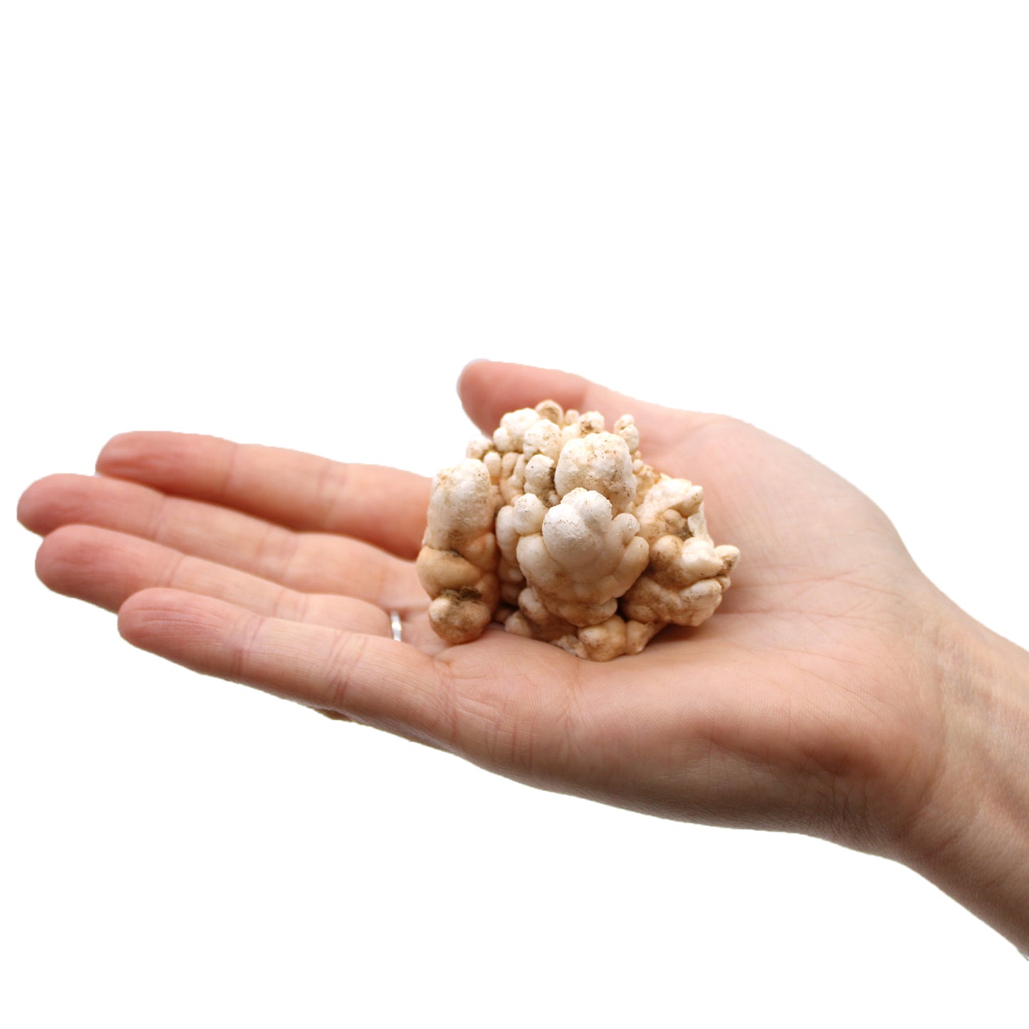 Finger Quartz – 1kg | Natural Quartz Formations