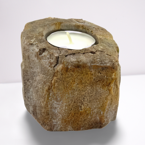 Petrified Wood Candle Holder – Short Single Slot | Fossilised Tea Light Holder