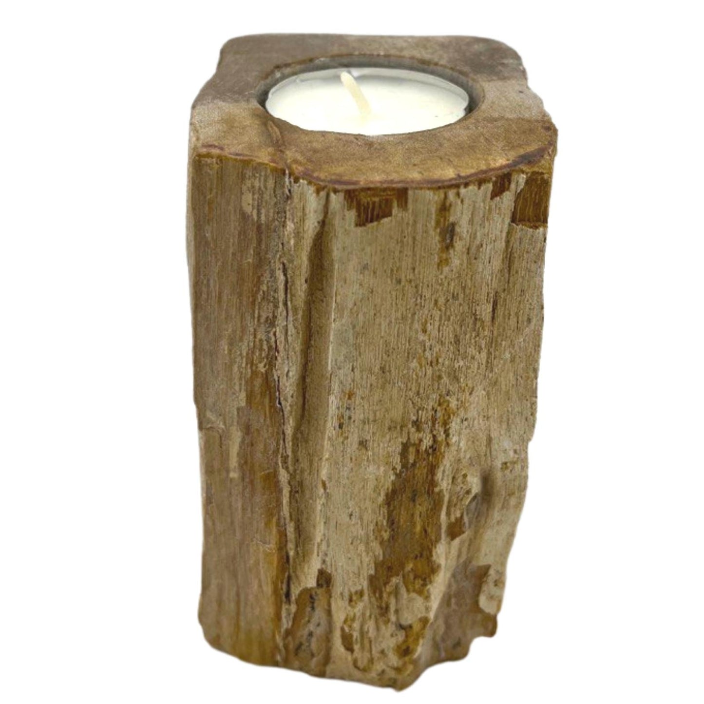 Petrified Wood Candle Holder – Tall Single Slot | Fossilised Tea Light Holder
