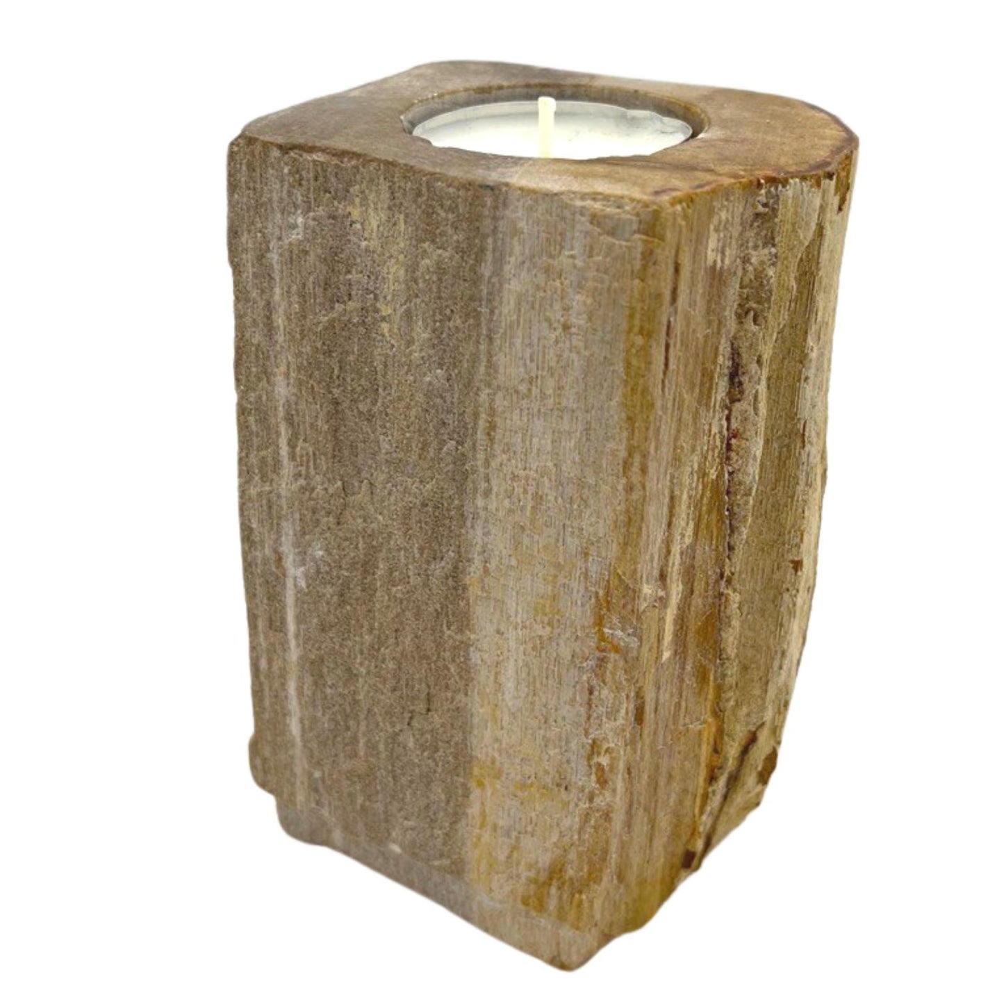 Petrified Wood Candle Holder – Tall Single Slot | Fossilised Tea Light Holder
