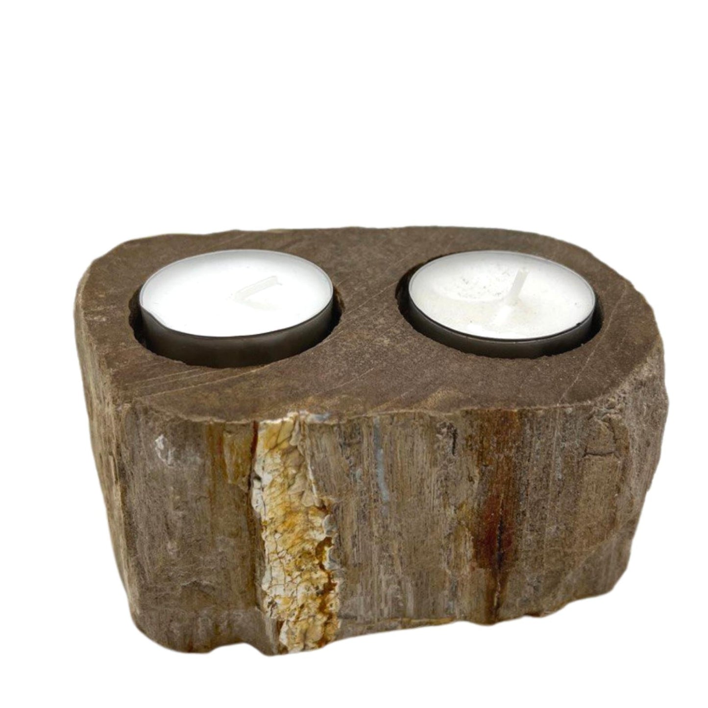 Petrified Wood Candle Holder – Double Slot | Fossilised Tea Light Holder