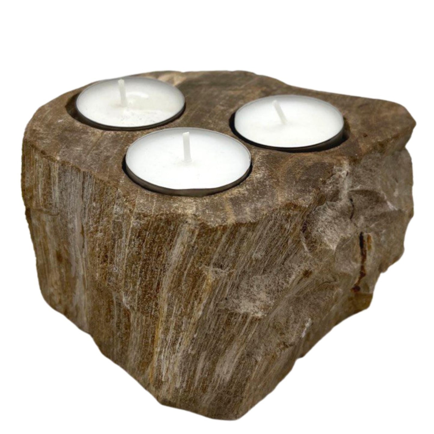 Petrified Wood Candle Holder – Triple Slot | Fossilised Tea Light Holder