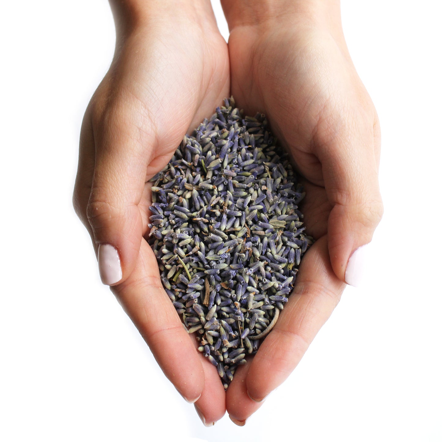 Dried Lavender Flowers – 1kg | Calming, Aromatherapeutic & Decorative Use