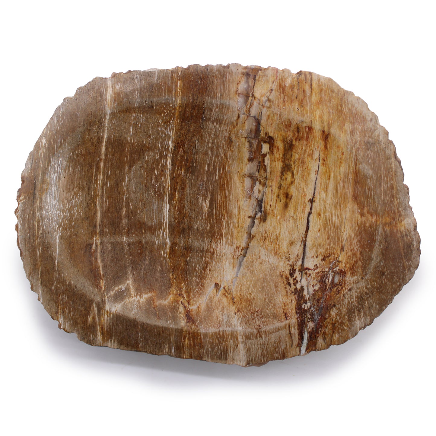 Petrified Wood Soap Dish – Brown Design | Natural Fossilised Wood