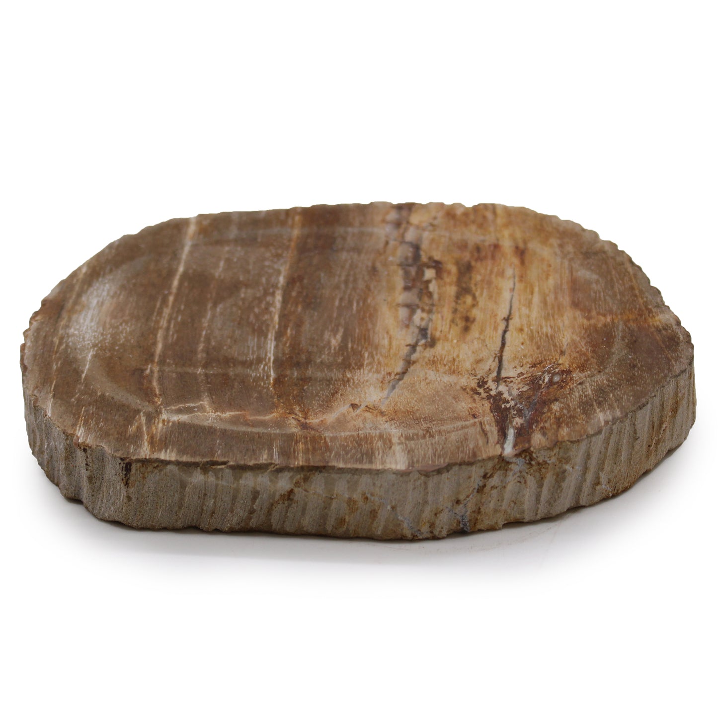 Petrified Wood Soap Dish – Brown Design | Natural Fossilised Wood