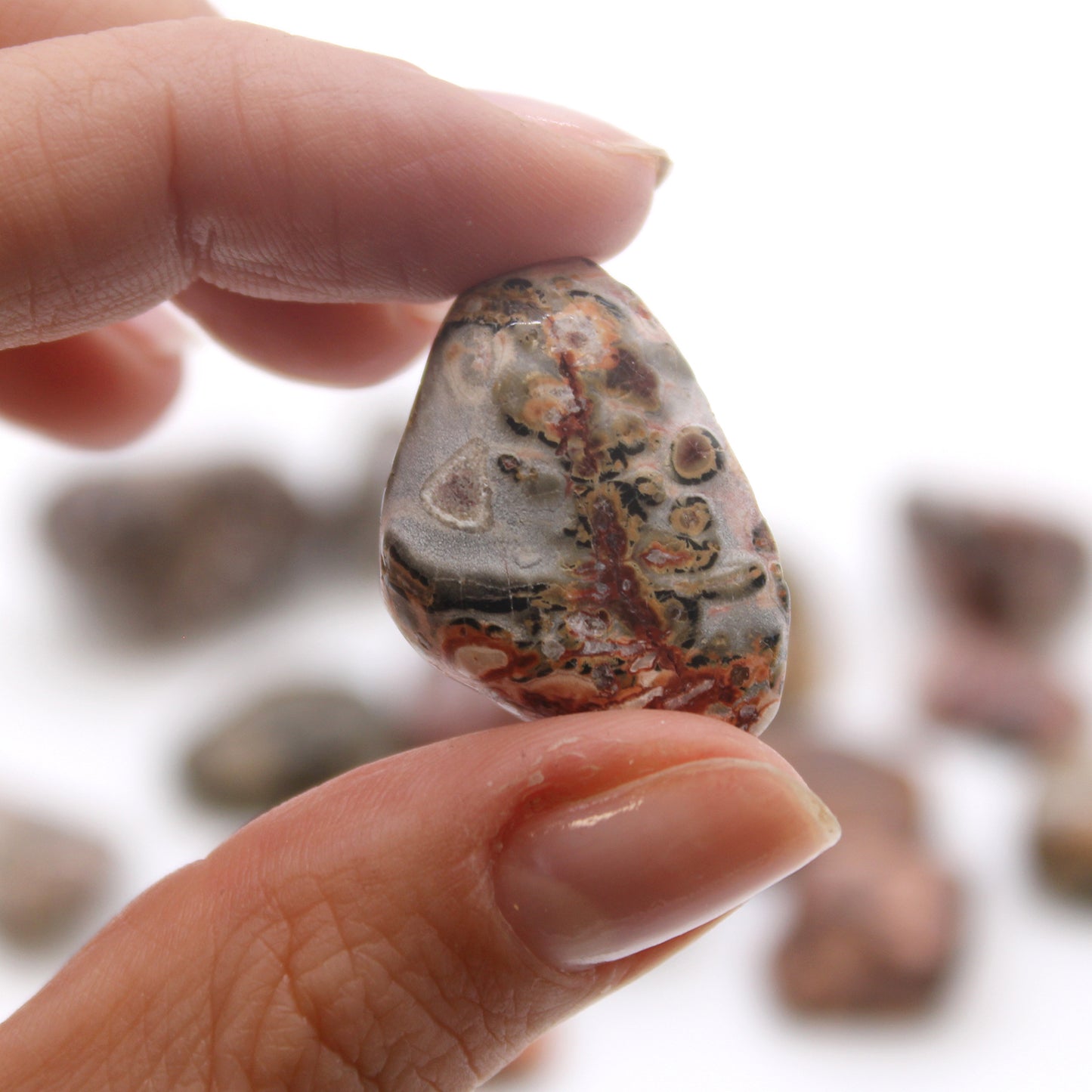 Leopard Skin Jasper Tumble Stones – Medium | 24-Pack