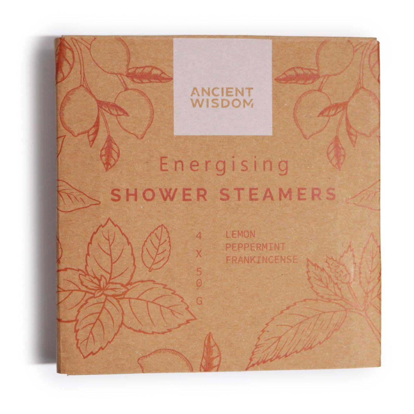 Energising Aromatherapy Shower Steamers – Set of 4 x 50g | Peppermint, Frankincense & Lemon Essential Oils with Cranberry Seeds