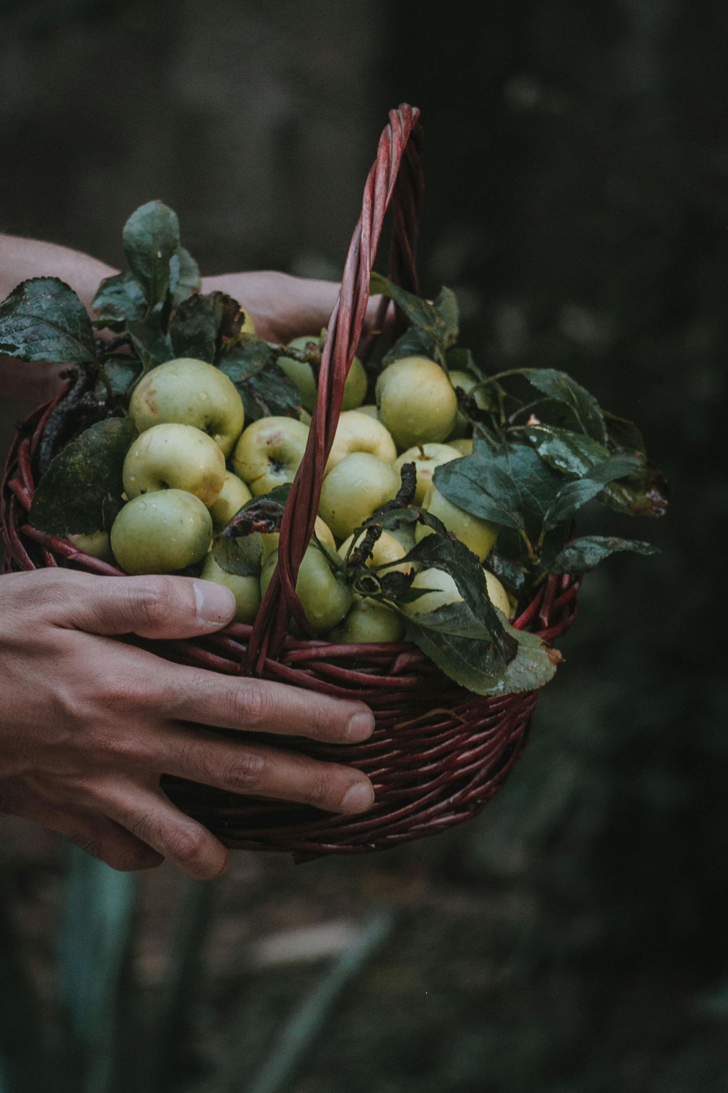 Gifting Seasons & Celebrations