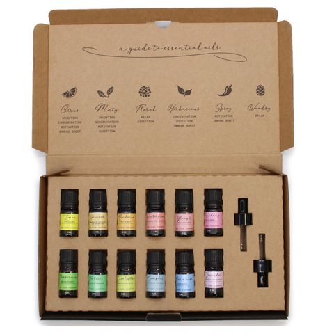 Aromatherapy Essential Oils Set of 12 – Starter Pack Edition | Introductory Collection for Aromatherapy Beginners