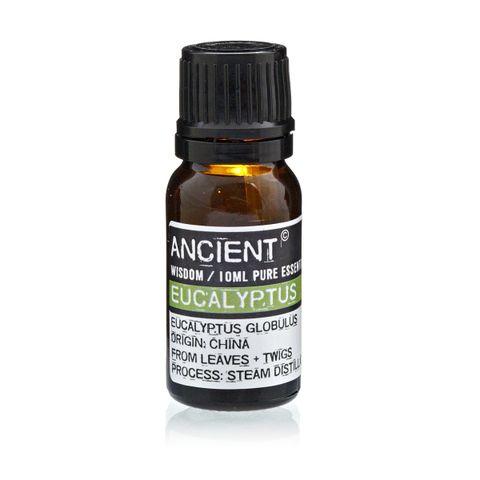Eucalyptus Essential Oil (Eucalyptus globulus) – 10ml | Respiratory Support, Antimicrobial & Muscle Relief