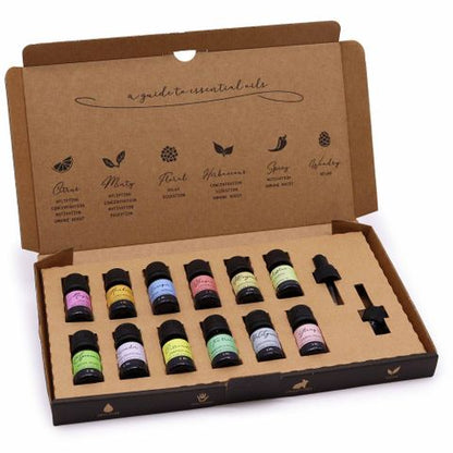 Aromatherapy Essential Oils Set of 12 – Spring Edition | Uplifting Floral & Herbal Scents for Renewal