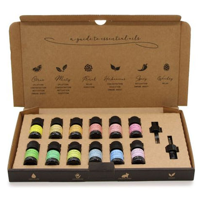 Aromatherapy Essential Oils Set of 12 – Starter Pack Edition | Introductory Collection for Aromatherapy Beginners