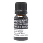 Sweet Birch Essential Oil (Betula lenta) – 10ml | Anti-inflammatory, Circulatory & Skin Support