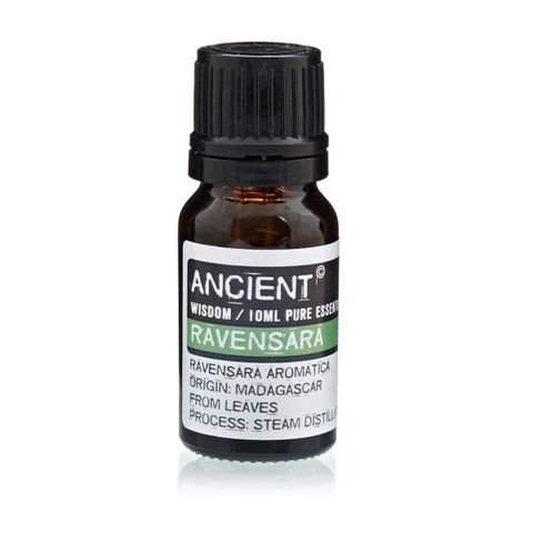 Ravensara Essential Oil (Ravensara aromatica) – 10ml | Immune, Respiratory & Antiviral Support