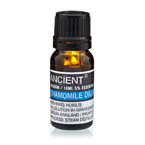 Roman Chamomile Dilute Essential Oil 5% (Anthemis nobilis) – 10ml | Calming, Skin-Soothing & Gentle