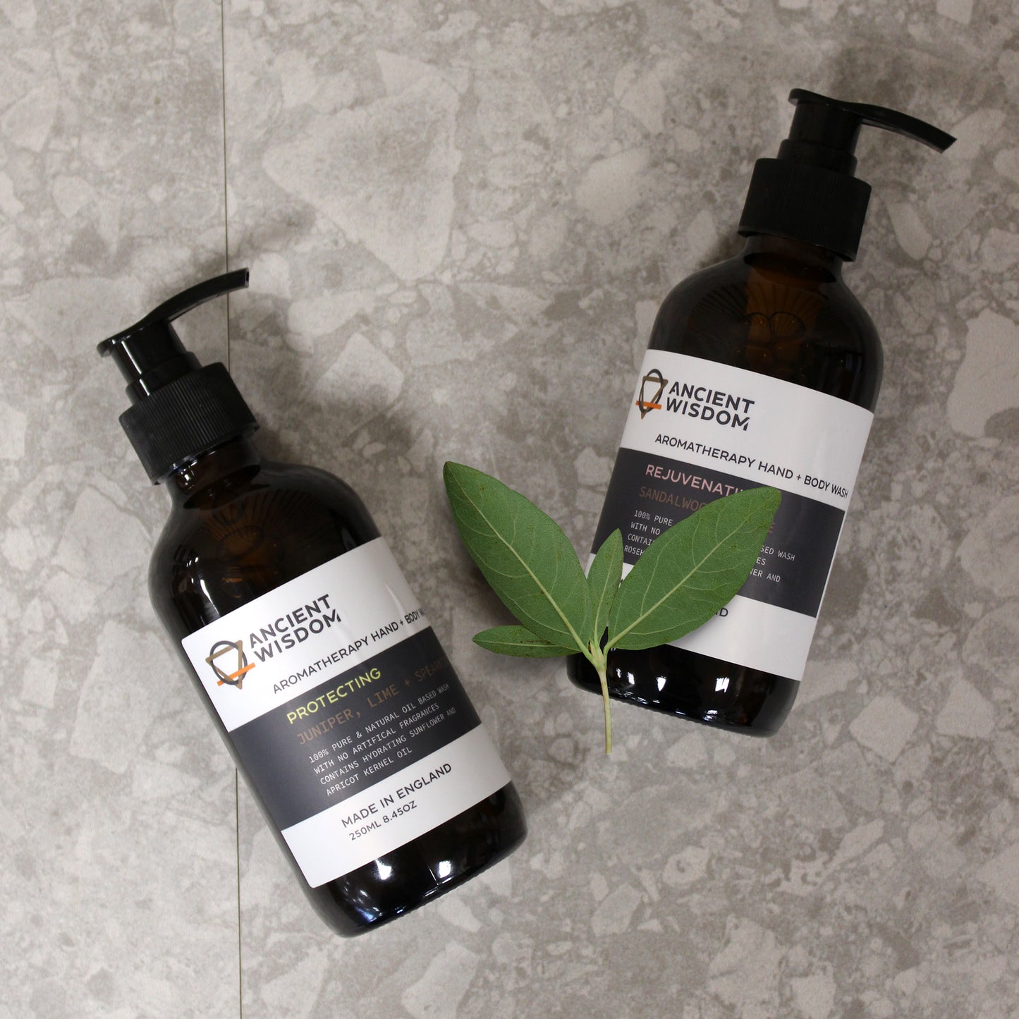 Aromatherapy Hand & Body Wash – Protecting | Juniper, Lime & Spearmint Essential Oils