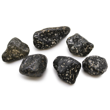 Guinea Fowl Jasper African Tumble Stones – Large | 6-Pack