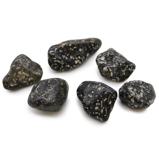 Guinea Fowl Jasper African Tumble Stones – Large | 6-Pack
