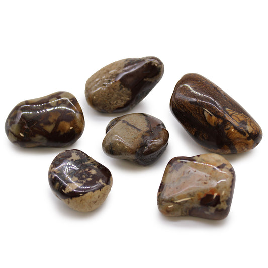 Nguni Jasper African Tumble Stones – Large | 6-Pack