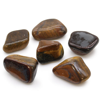 Variegated Tiger's Eye African Tumble Stones – Large | 6-Pack