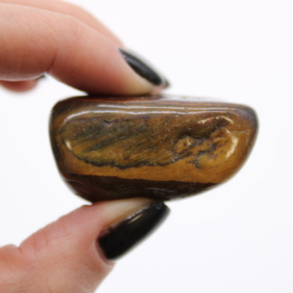 Variegated Tiger's Eye African Tumble Stones – Large | 6-Pack