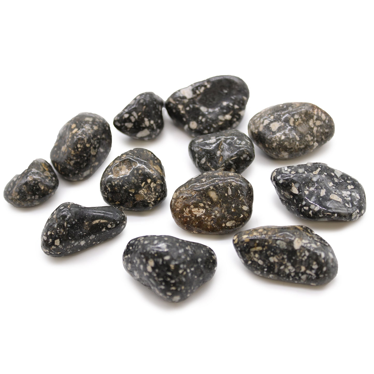 Guinea Fowl Jasper African Tumble Stones – Medium | 12-Pack
