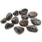 Guinea Fowl Jasper African Tumble Stones – Medium | 12-Pack