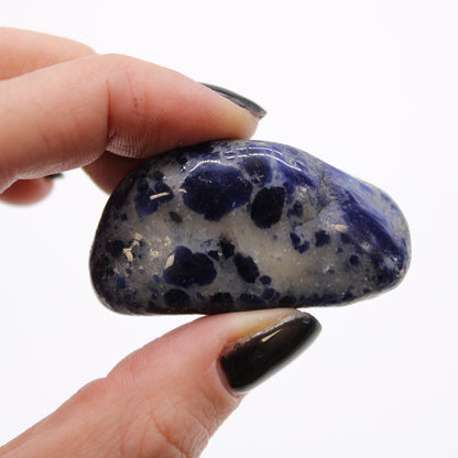 Sodalite African Tumble Stones – Medium | 12-Pack