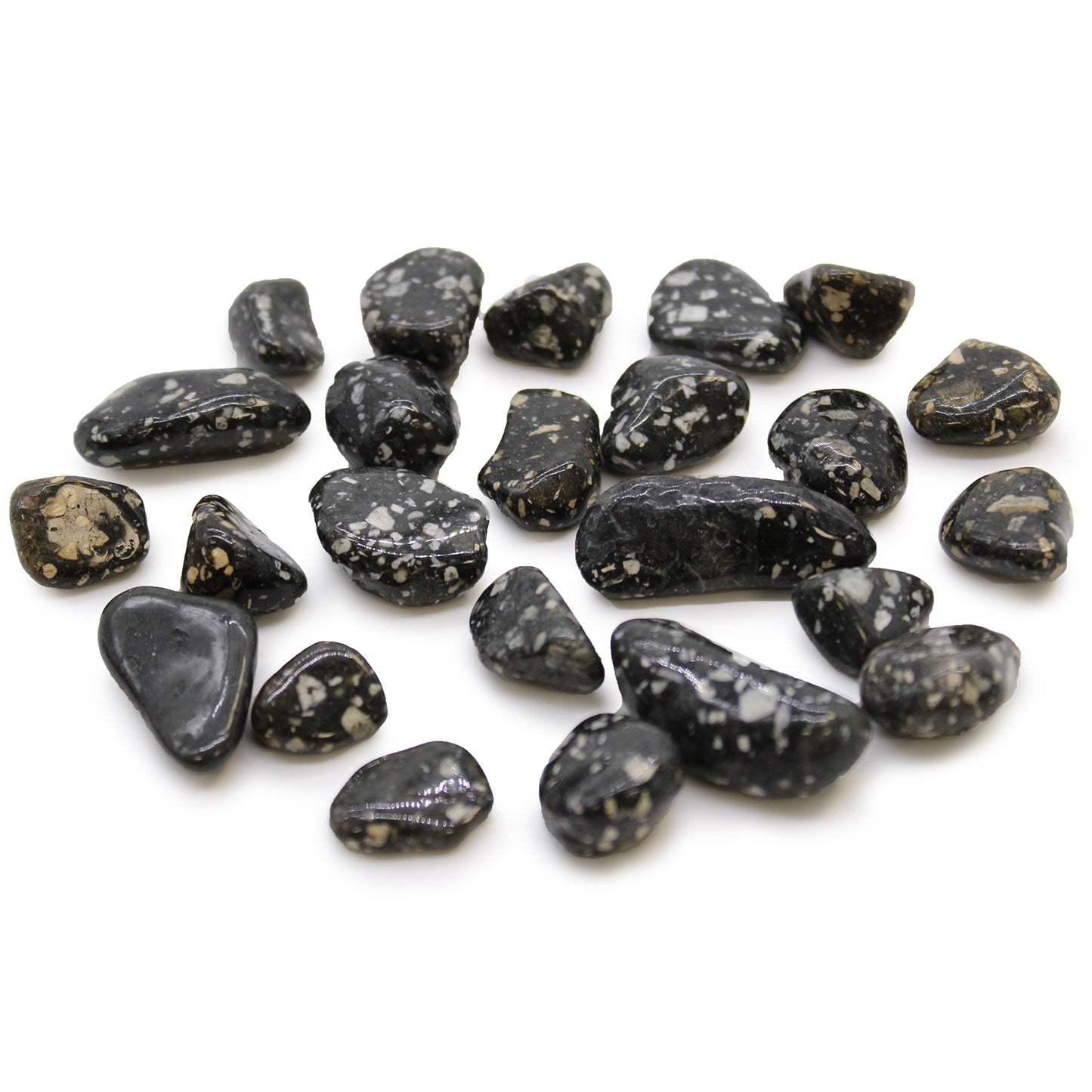 Guinea Fowl Jasper African Tumble Stones – Small | 24-Pack
