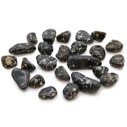 Guinea Fowl Jasper African Tumble Stones – Small | 24-Pack