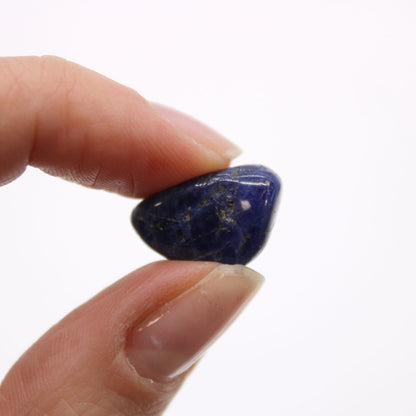 Sodalite African Tumble Stones – Small | 24-Pack