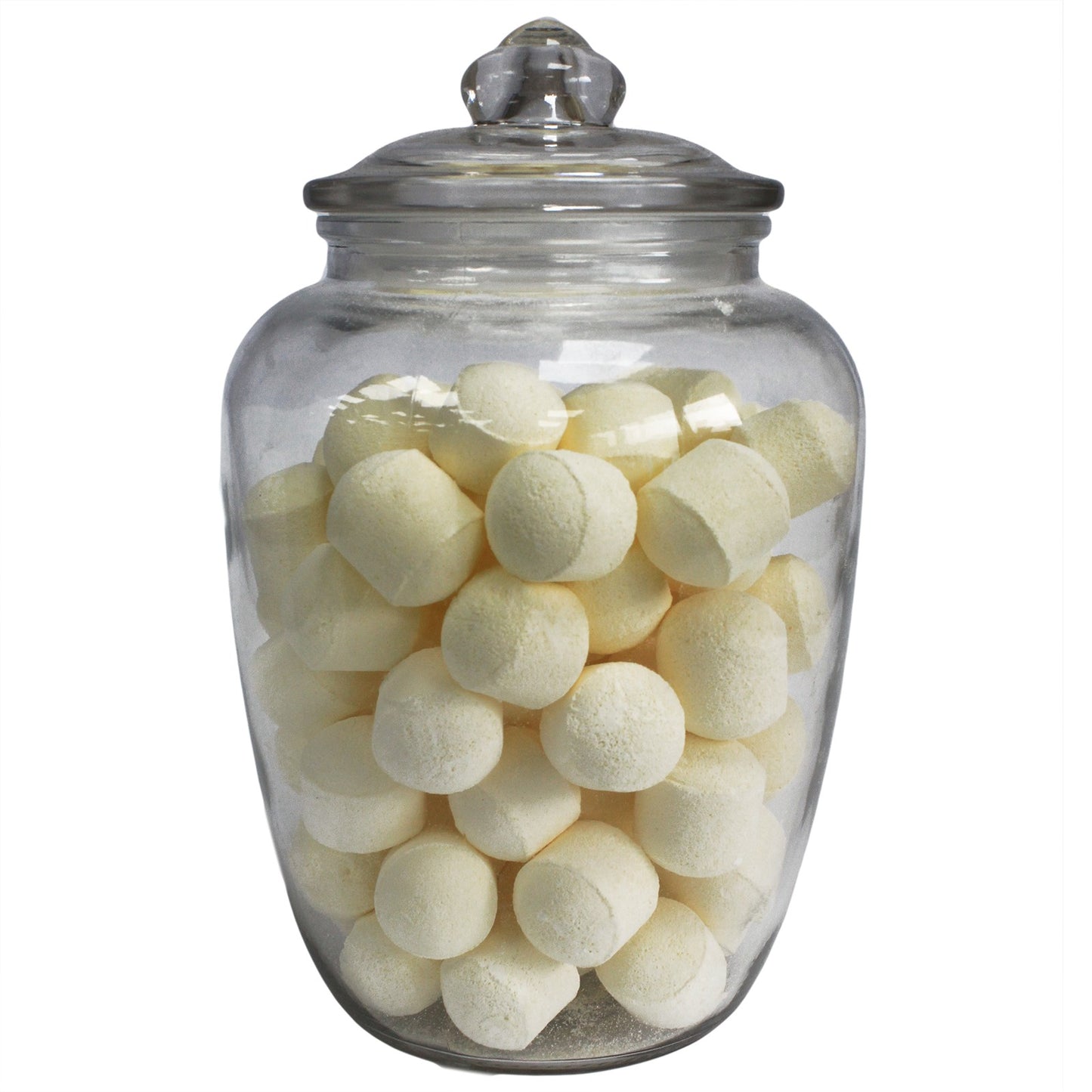 Classic Style Glass Jar with Glass Lid – Extra Large | Complete All-Glass Look