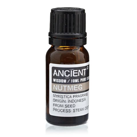 Nutmeg Essential Oil (Myristica fragrans) – 10ml | Warming, Digestive, and Circulatory Support