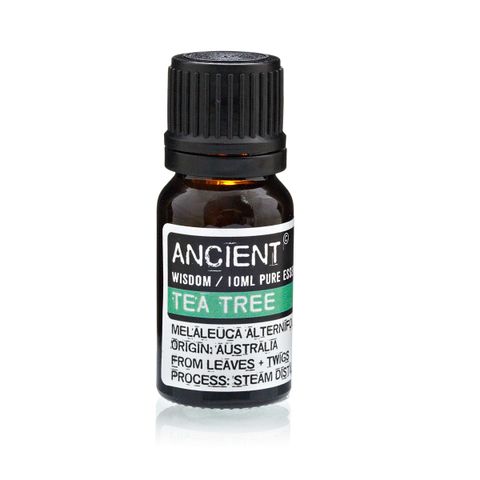 Tea Tree Essential Oil (Melaleuca alternifolia) – 10ml | Antimicrobial, Skin Health & Respiratory Support