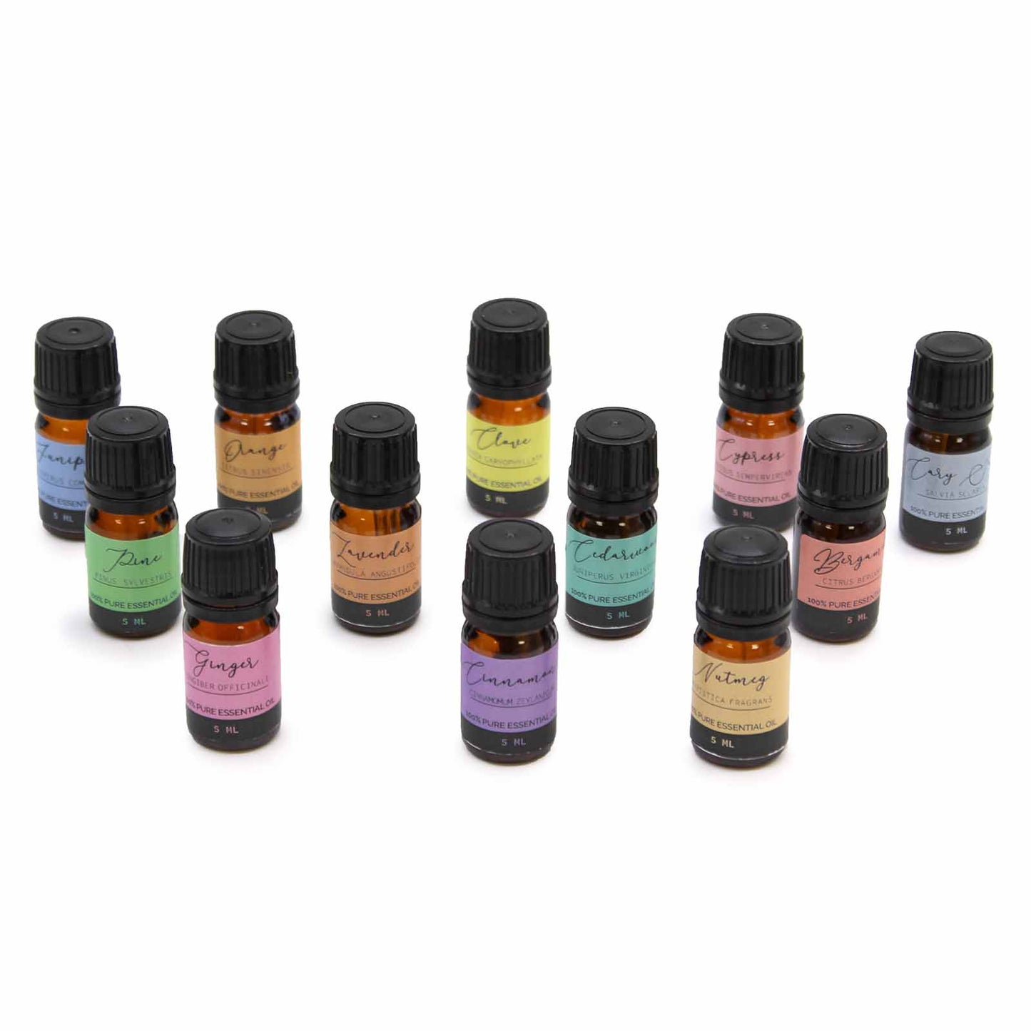 Aromatherapy Essential Oils Set of 12 – Autumn Edition | Seasonal Collection for Relaxation & Wellness