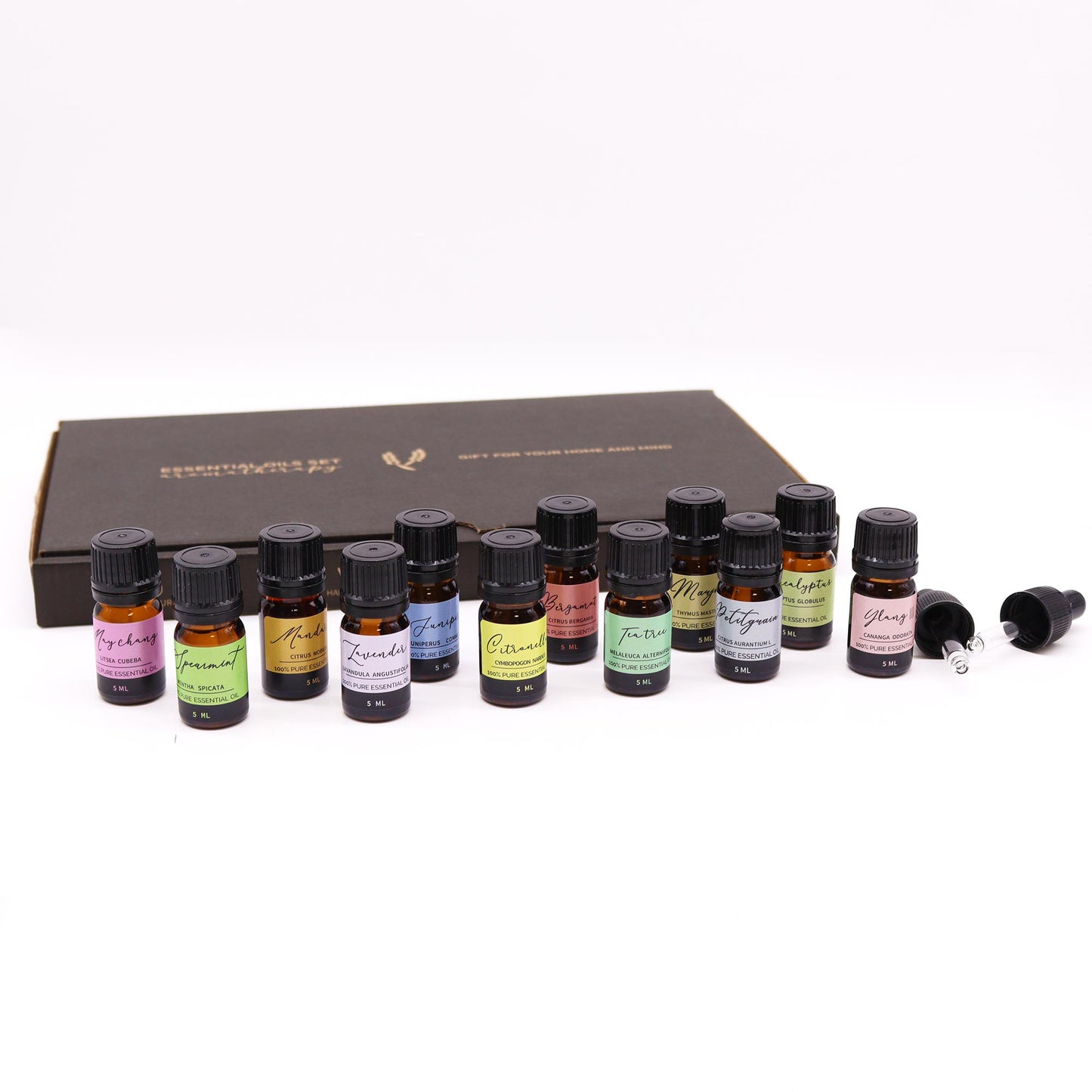 Aromatherapy Essential Oils Set of 12 – Spring Edition | Uplifting Floral & Herbal Scents for Renewal