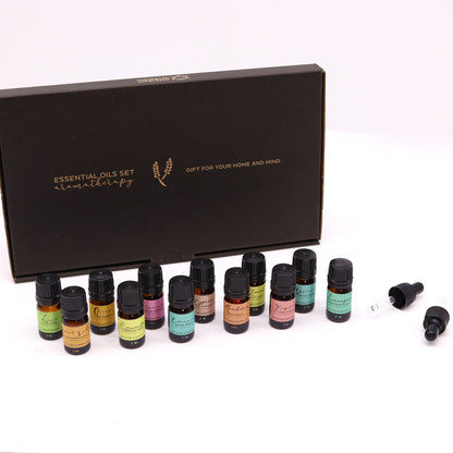 Aromatherapy Essential Oils Set of 12 – Summer Edition | Refreshing Seasonal Scents for Vitality & Balance