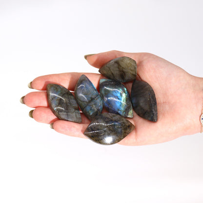 Labradorite Leaf – 45–55mm | Polished Mineral Stone