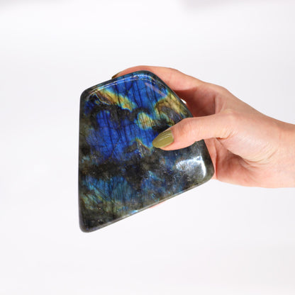 Labradorite Statement Stone – Extra Large | Polished Mineral Display Piece