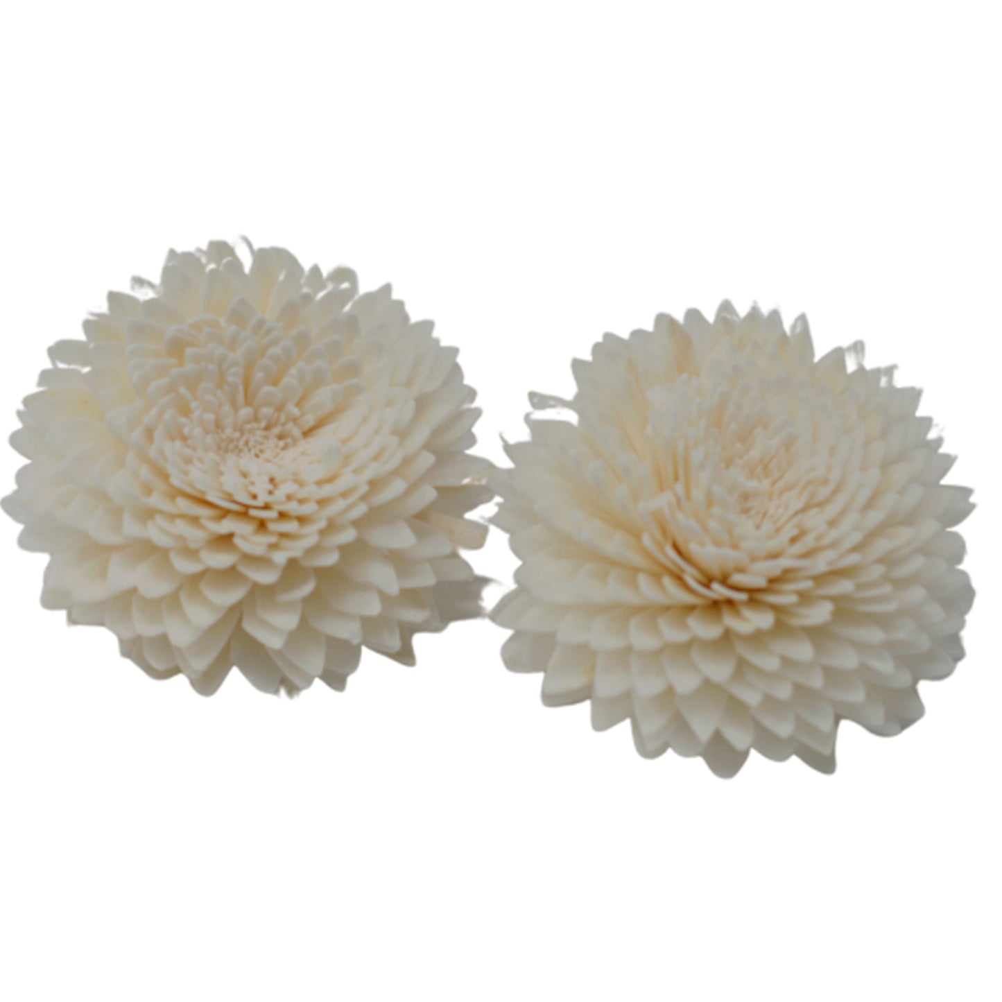 Medium Carnation Diffuser Flower on String – Set of 12 | Natural Sola Wood & Cotton