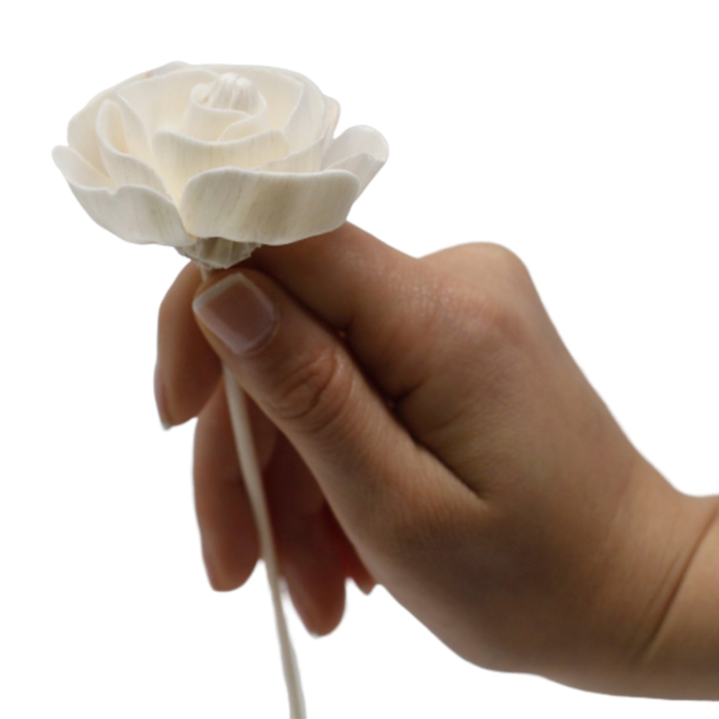 Rose Diffuser Flower on Reed – Set of 12 | Natural Sola Wood & Bamboo