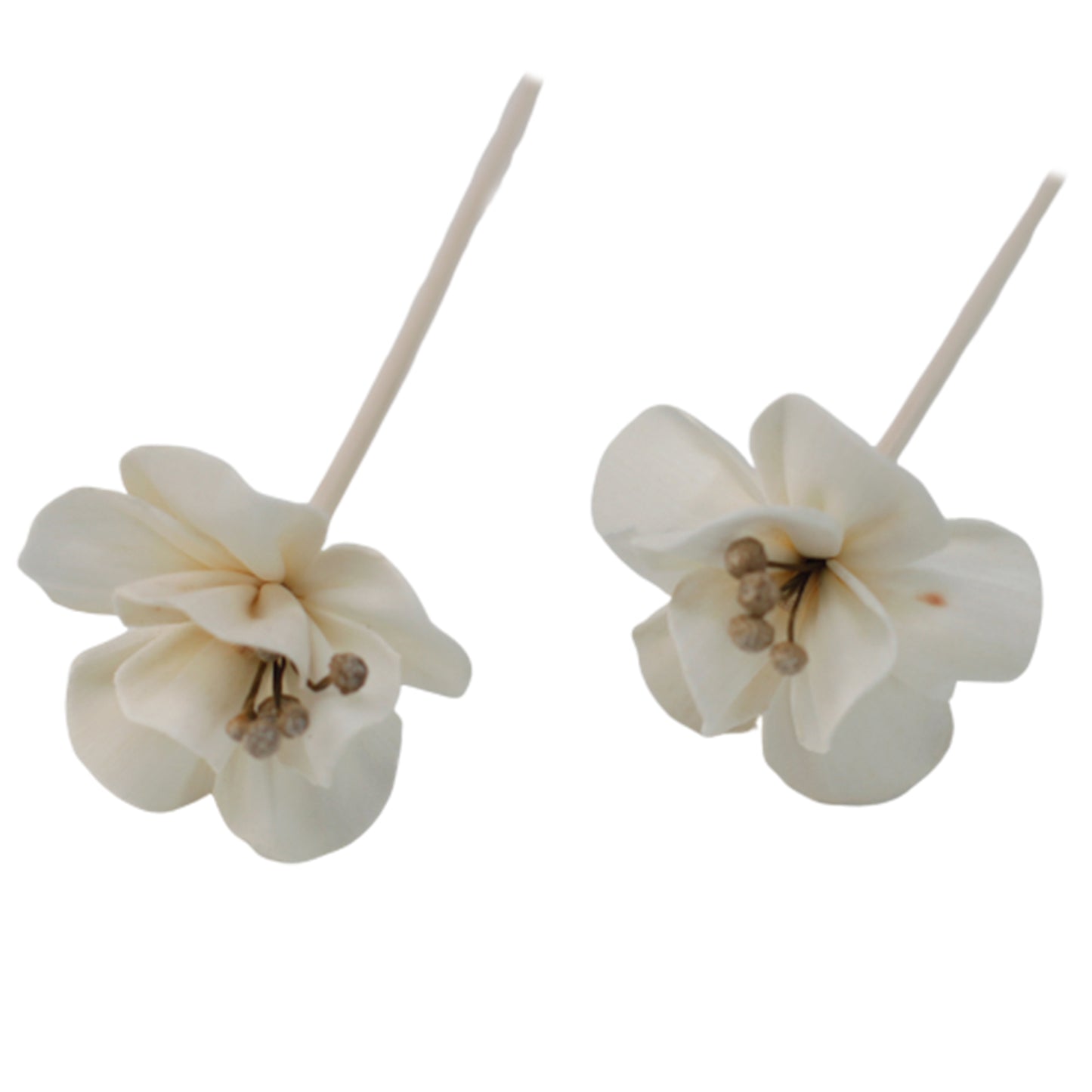 Lily Diffuser Flower on Reed – Set of 12 | Natural Sola Wood & Bamboo