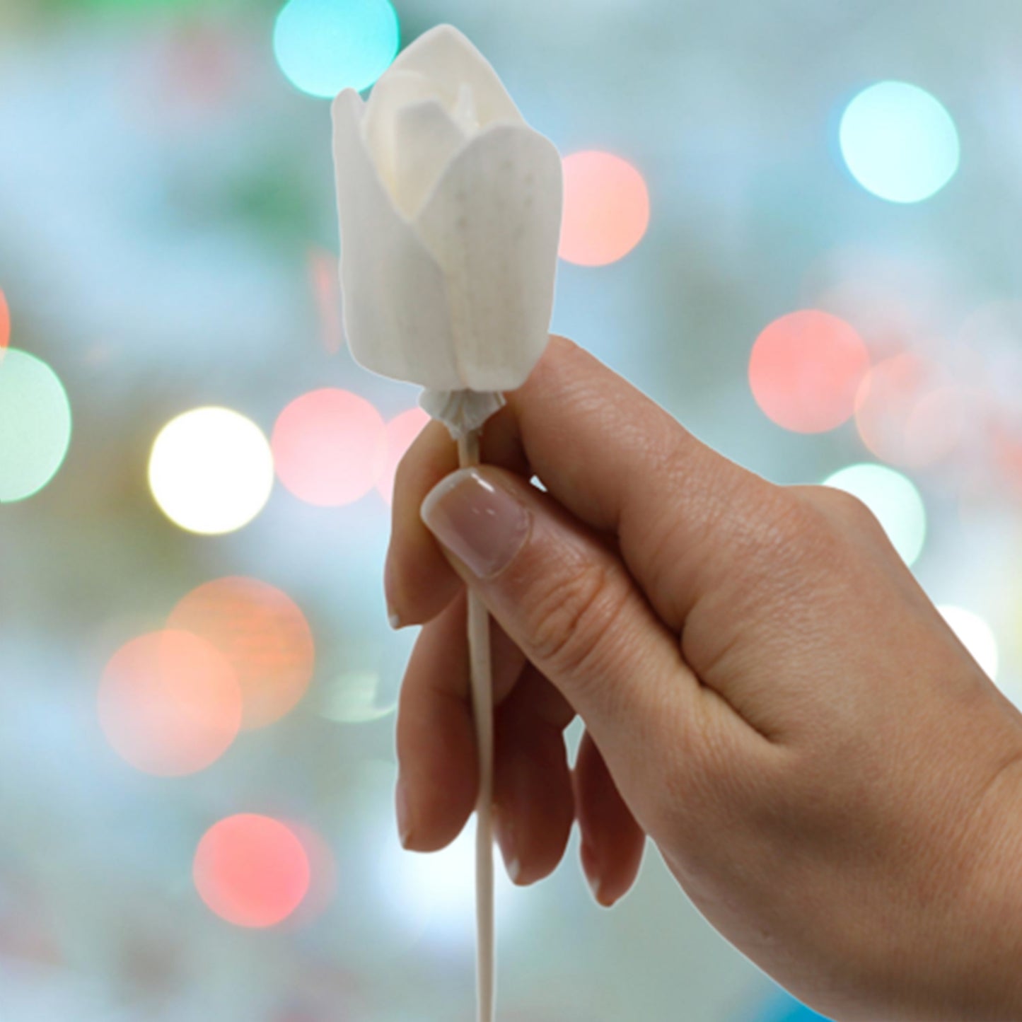 Tulip Diffuser Flower on Reed – Set of 12 | Natural Sola Wood & Bamboo